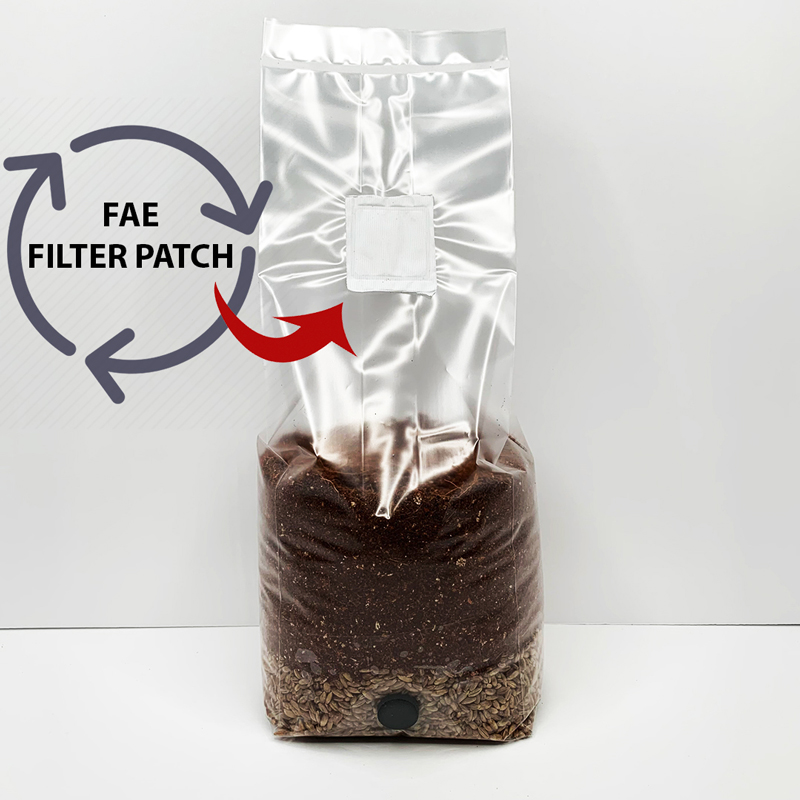 Filtered mushroom grow bag allows free air exchange for optimal growth